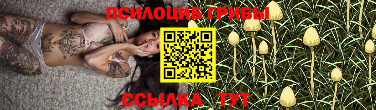 Галлюциногенные грибы прущие грибы Маркс