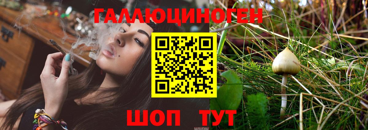 Псилоцибиновые грибы мухоморы  Маркс 