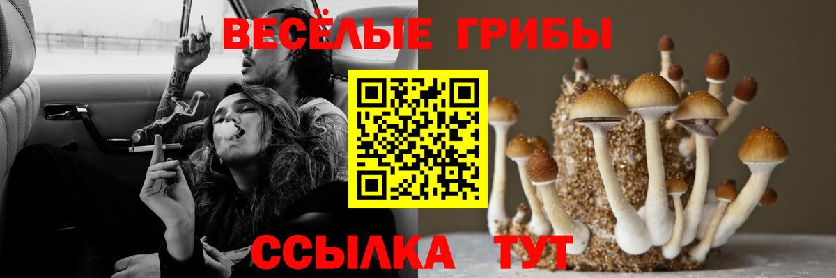 Маркс  Псилоцибиновые грибы мицелий  Вход с VPN 